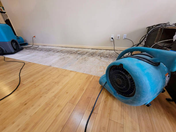 Professional Structural Drying technician working in Decatur, TX